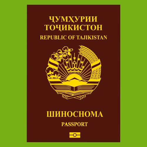 Итоги миграционного контроля в Канске: 29 иностранных граждан выдворены из России