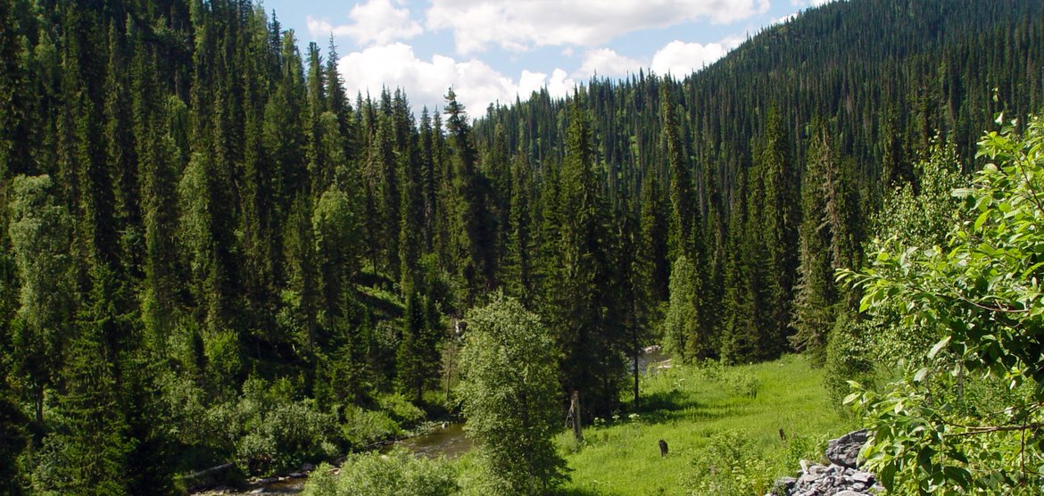 Экспортёры Красноярского края заключили международные контракты на 4 млрд рублей