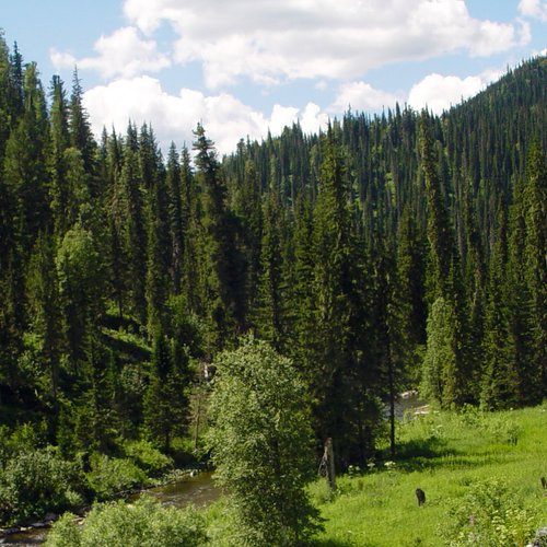 Красноярские компании подписали экспортные договоры на сумму 4 млрд рублей