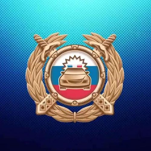 Водители нарушили ПДД, двигаясь задним ходом по мосту в Канске