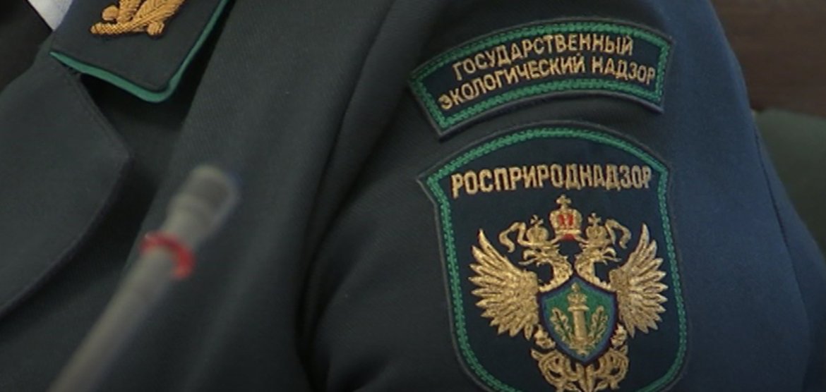 Эколог из Красноярского края задержан по обвинению в коррупции