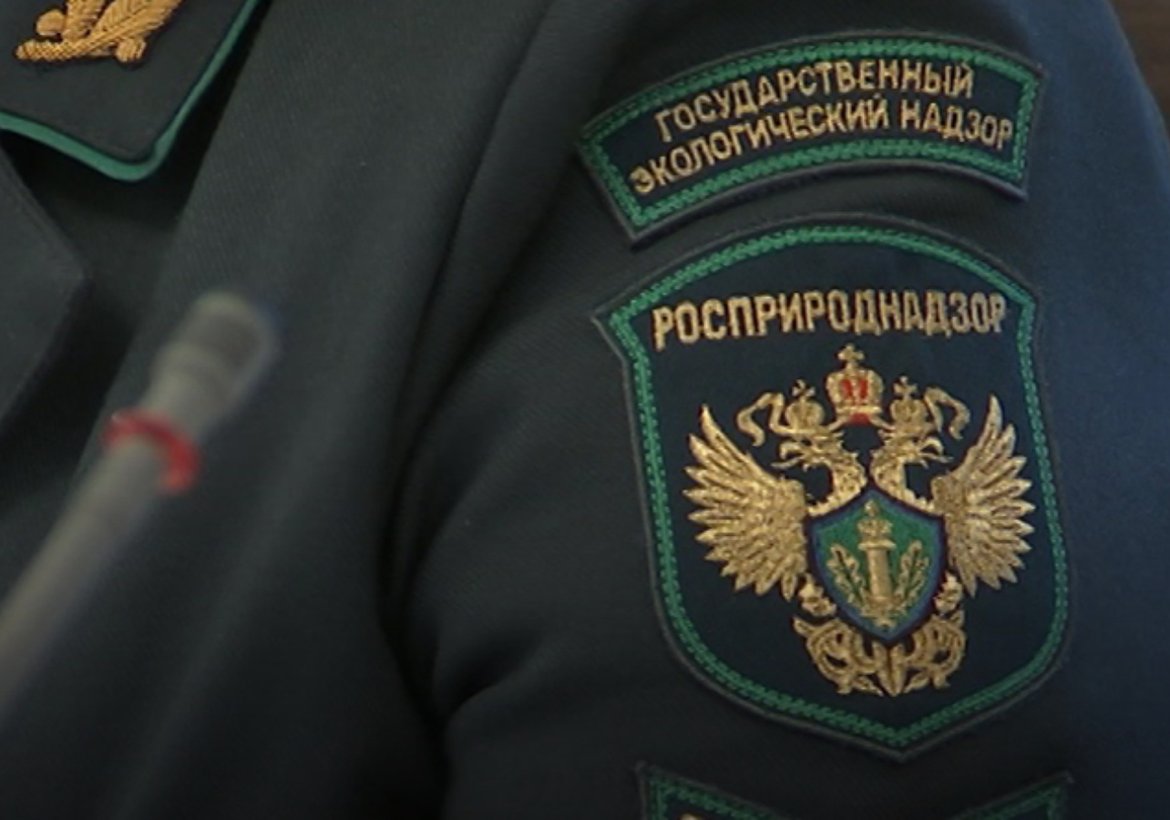 Уголовное дело против инспектора по экологии в Красноярском крае