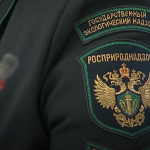 Эколог из Красноярского края задержан по обвинению в коррупции