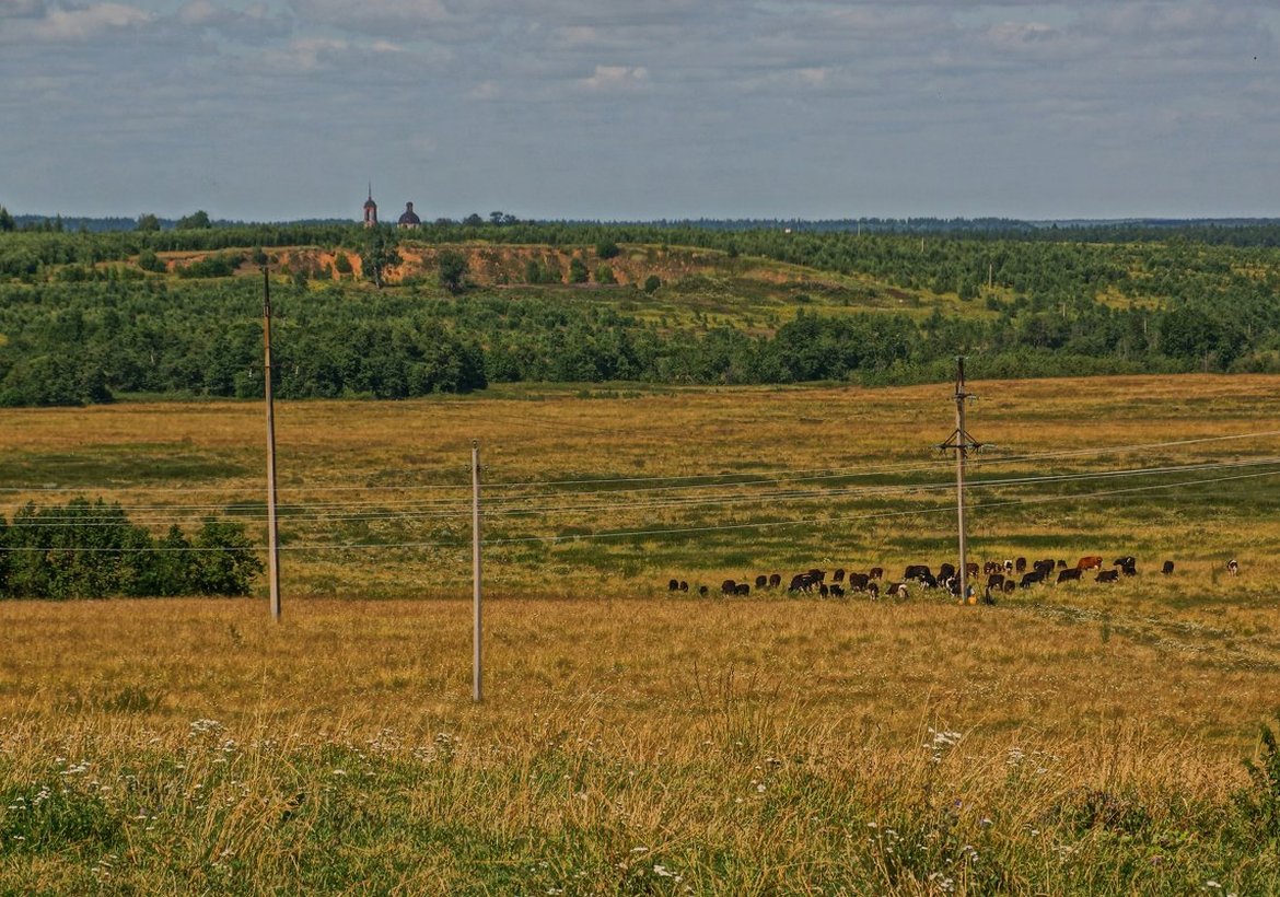 В Канском районе произошла смертельная авария с участием пешехода