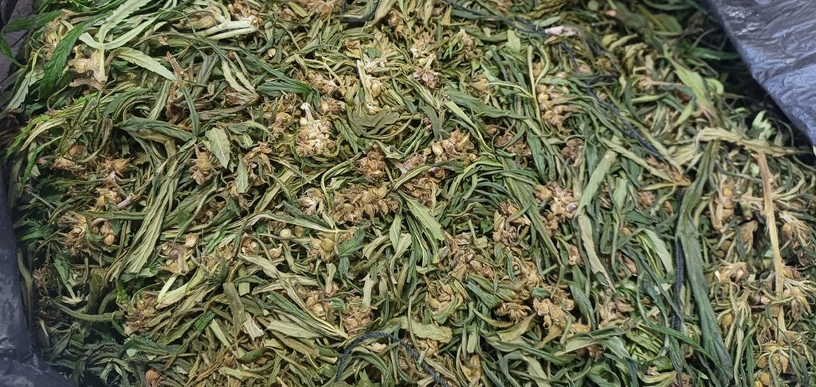 Мужчина задержан с наркотиками в Канске, возбуждено уголовное дело