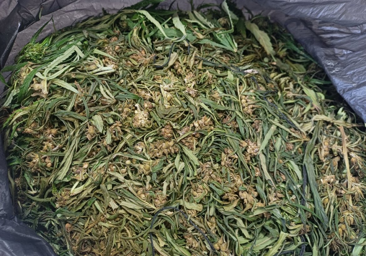 Житель Канска предстал перед судом за попытку перевозки марихуаны