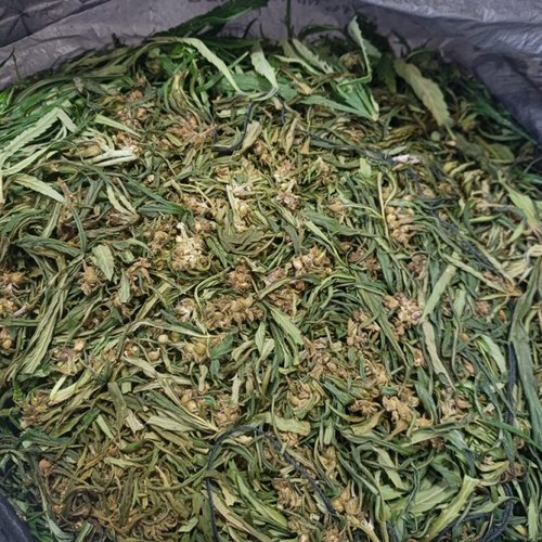 Мужчина из Канска пойман с наркотиком в пригороде города