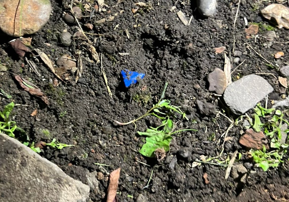 Житель Красноярска задержан в Канске за распространение наркотиков